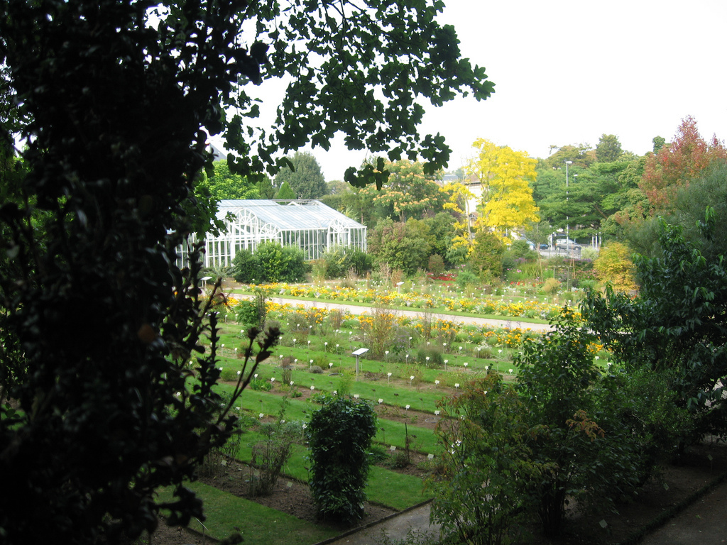 Caen jardindesplantes jardinbotanique