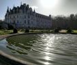 Jardin Des Plantes De Caen Charmant Link Paris Caen 2020 All You Need to Know before You Go