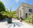 Jardin Des Plantes De Caen Élégant A Nature Break In Downtown Caen