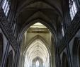 Jardin Des Plantes De Caen Élégant Eglise Saint Jean Caen Tripadvisor