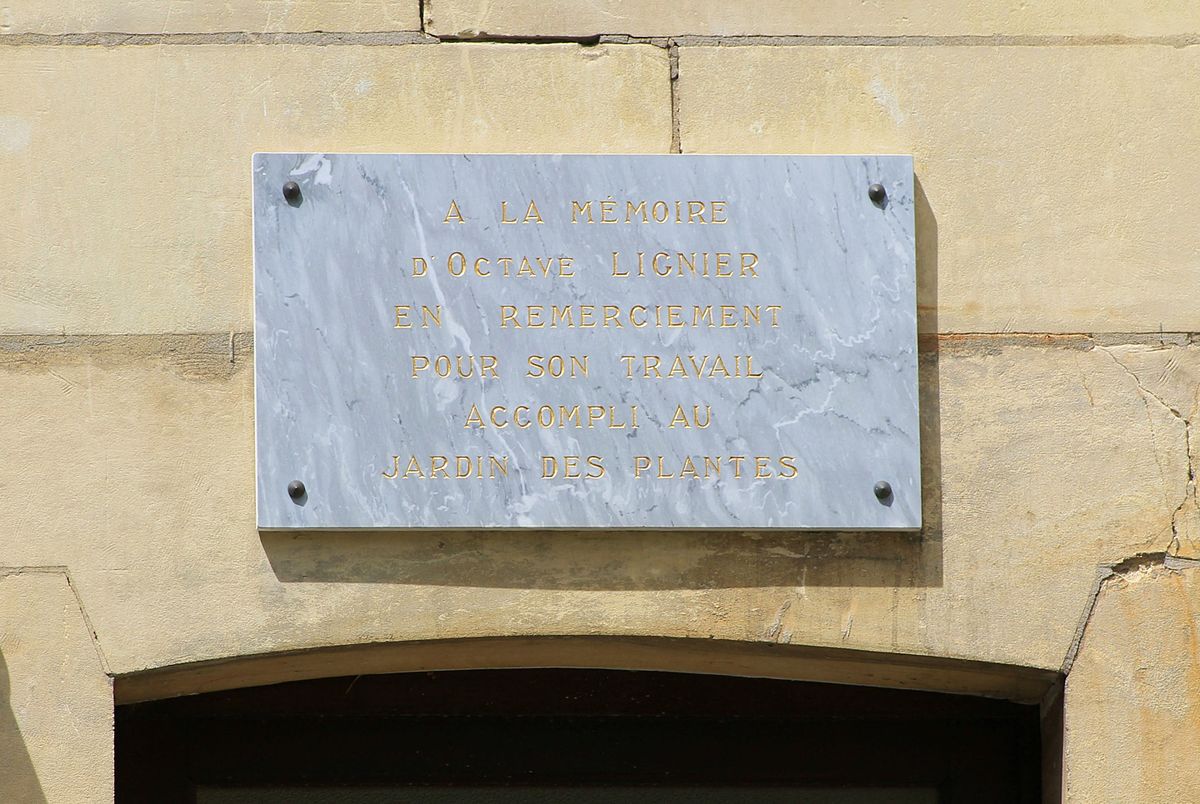 Jardin Des Plantes De Caen Élégant Octave Lignier