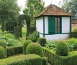 Jardin Des Plantes De Caen Luxe Hél¨ne Nguyen Pierson Helenepierson5 Sur Pinterest