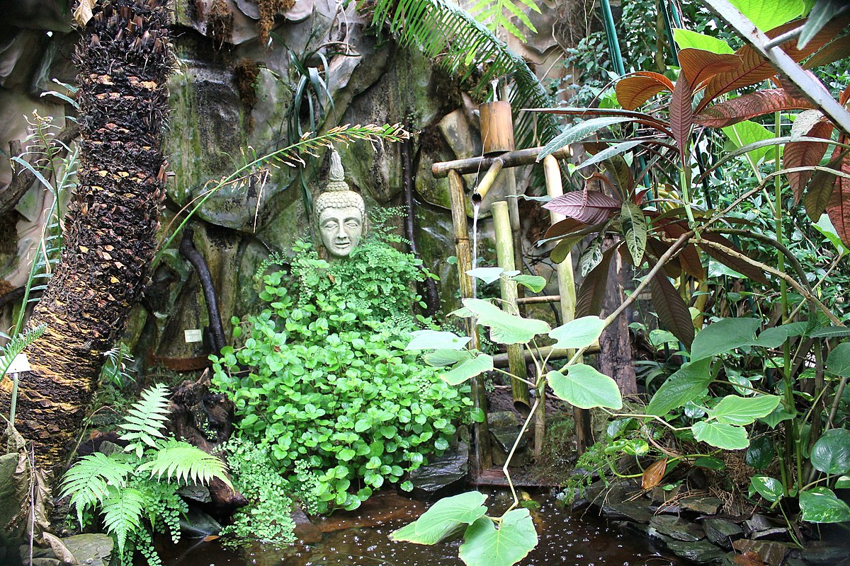 Jardin Des Plantes De Caen Unique File Caen Jardin Des Plantes Buddha Wikimedia Mons