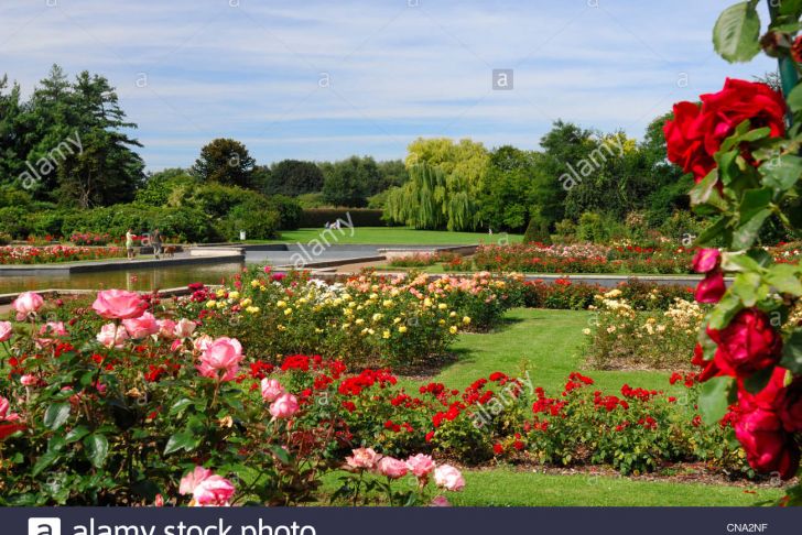 Jardin Des Plantes De Lille Best Of nord Dep Stock S &amp; nord Dep Stock Page 6 Alamy