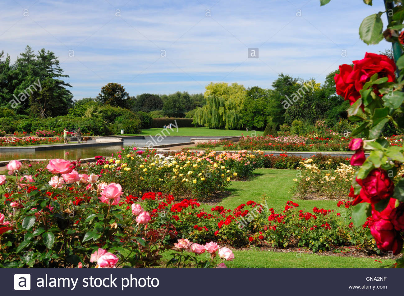 Jardin Des Plantes De Lille Best Of nord Dep Stock S &amp; nord Dep Stock Page 6 Alamy