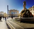 Jardin Des Plantes De Lille Inspirant Montpellier Wikiwand