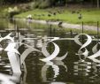 Jardin Des Plantes De Lille Inspirant Nantes 2020 Best Of Nantes France tourism Tripadvisor