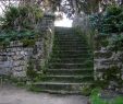 Jardin Des Plantes De Montpellier Beau 82 Best Le Jardin Des Plantes De Montpellier 1593 Images