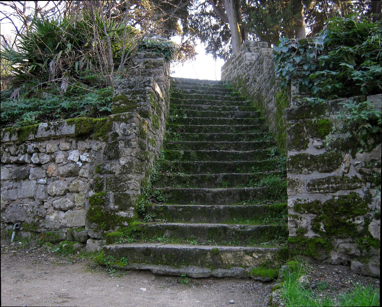 Jardin Des Plantes De Montpellier Beau 82 Best Le Jardin Des Plantes De Montpellier 1593 Images