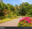 Jardin Des Plantes De Montpellier Beau Jardin Botanico Peradeniya