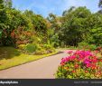 Jardin Des Plantes De Montpellier Beau Jardin Botanico Peradeniya