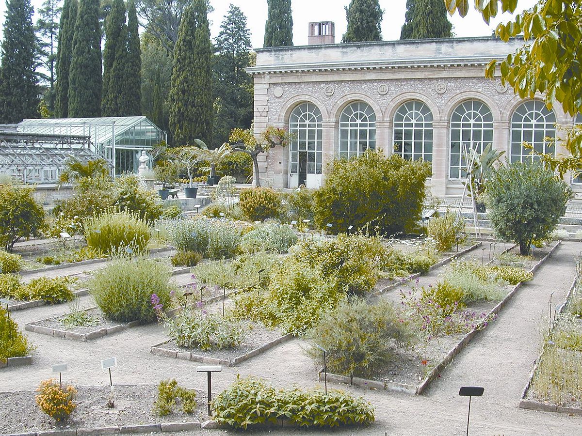 Jardin Des Plantes De Montpellier Beau Jardin Des Plantes De Montpellier