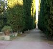 Jardin Des Plantes De Montpellier Beau Jardin Des Plantes Montpellier Updated 2020 All You Need