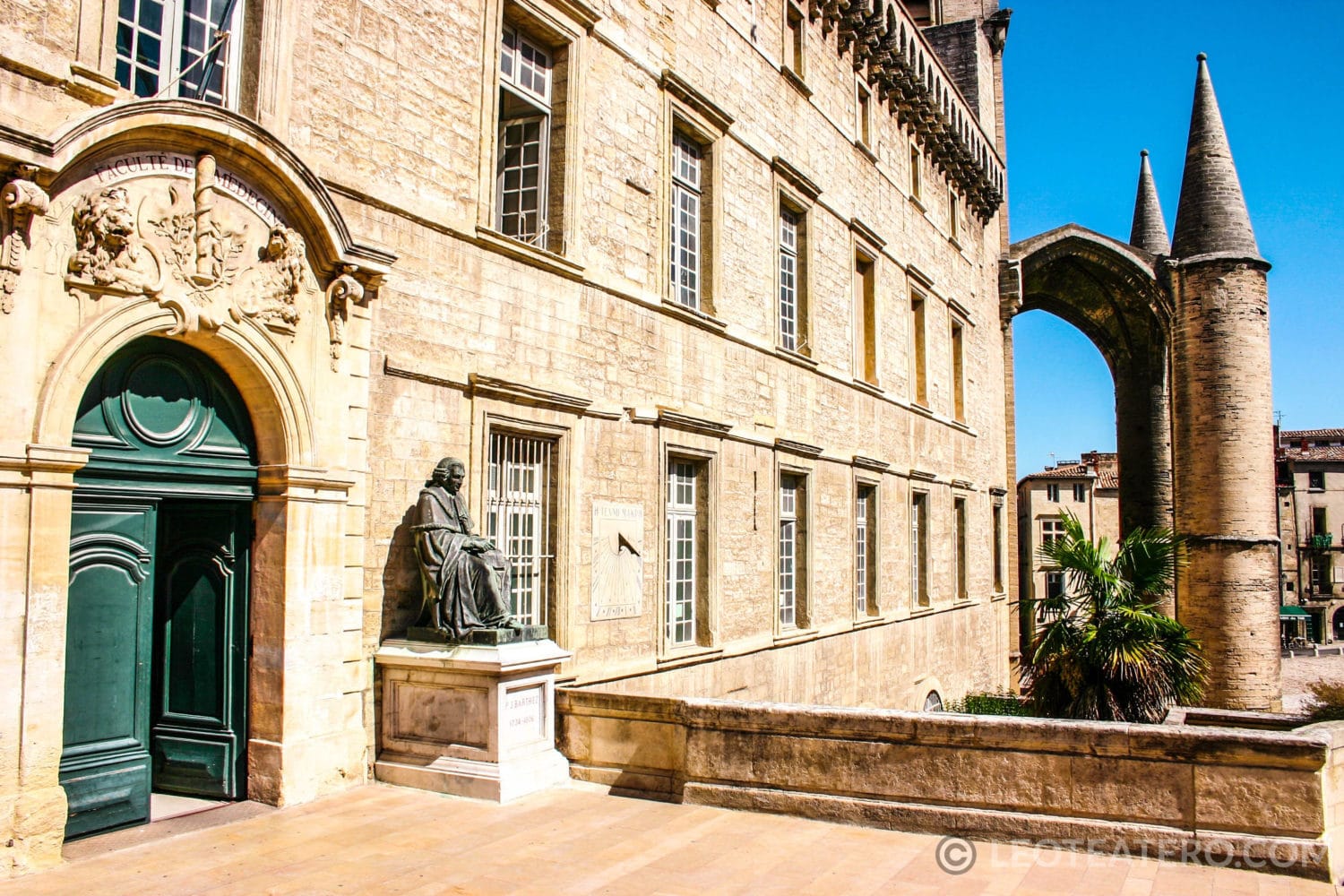 Jardin Des Plantes De Montpellier Beau What S Up Doc 800 Years Of Medicine In Montpellier Leo