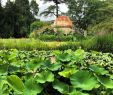 Jardin Des Plantes De Montpellier Best Of File Jardin Des Plantes De Montpellier