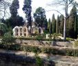 Jardin Des Plantes De Montpellier Best Of Le Jardin Des Plantes Montpellier tourist Fice