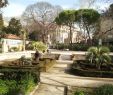 Jardin Des Plantes De Montpellier Best Of Le Jardin Des Plantes tourisme Montpellier