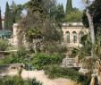 Jardin Des Plantes De Montpellier Best Of S De Montpellier Petit Camargue Page 6