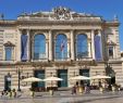 Jardin Des Plantes De Montpellier Charmant 10 Best Montpellier Hotels Hd S Reviews Of Hotels In