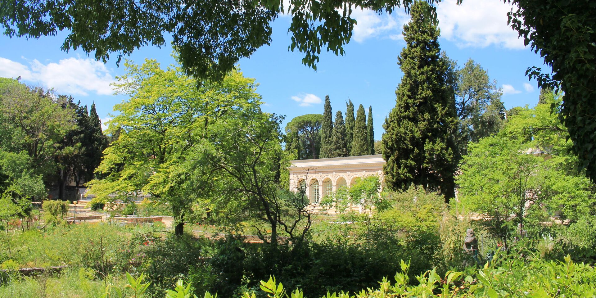 Jardin Des Plantes De Montpellier Charmant 3 Magical Botanic Gardens for A Zen Travel Experience