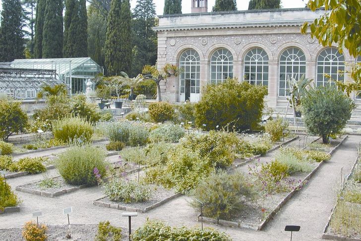 Jardin Des Plantes De Montpellier Charmant Jardin Des Plantes De Montpellier