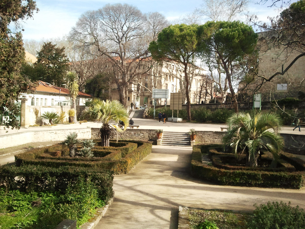 Jardin Des Plantes De Montpellier Charmant Le Jardin Des Plantes tourisme Montpellier