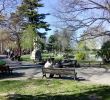 Jardin Des Plantes De Montpellier Charmant Reportage Montpellier Les Parcs Et Jardins   Ne Pas