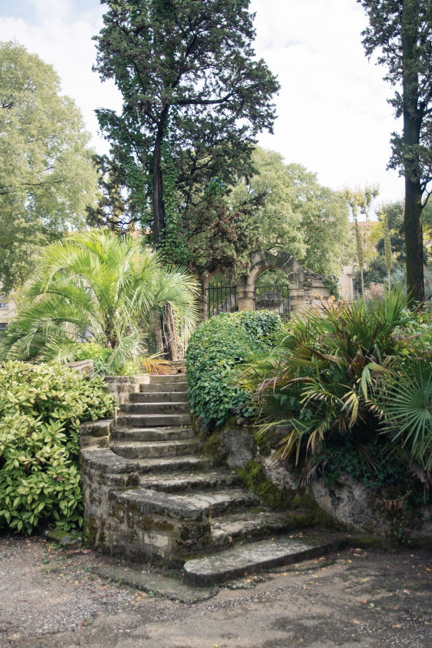 montpellier jardin des plantes