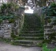 Jardin Des Plantes De Montpellier Élégant 82 Best Le Jardin Des Plantes De Montpellier 1593 Images