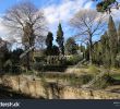 Jardin Des Plantes De Montpellier Élégant Panoramic View Botanical Garden Montpellier France Stock