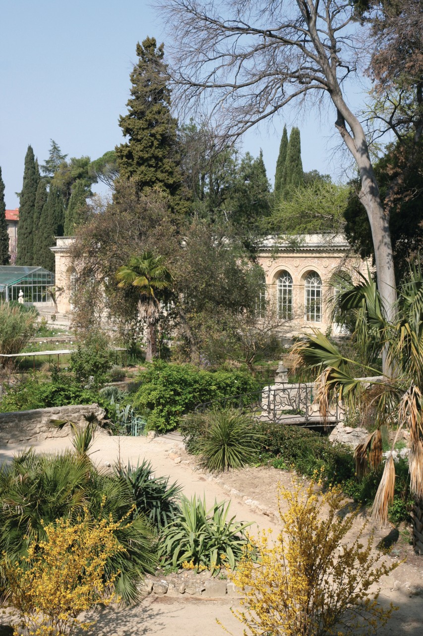 Jardin Des Plantes De Montpellier Frais S De Montpellier Petit Camargue Page 6