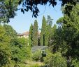 Jardin Des Plantes De Montpellier Génial File Le Jardin Des Plantes Montpellier