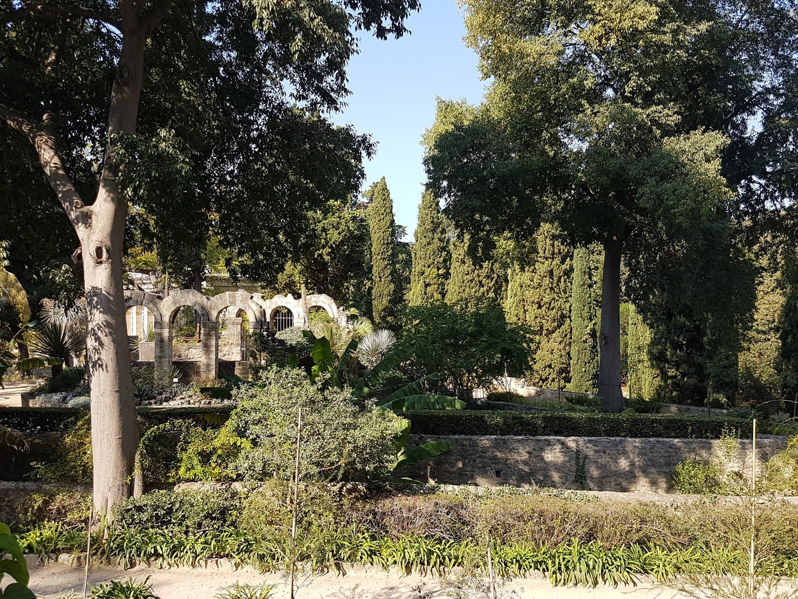 Jardin Des Plantes De Montpellier Génial Montpellier the City In Few Days Wanderguide On Travelade