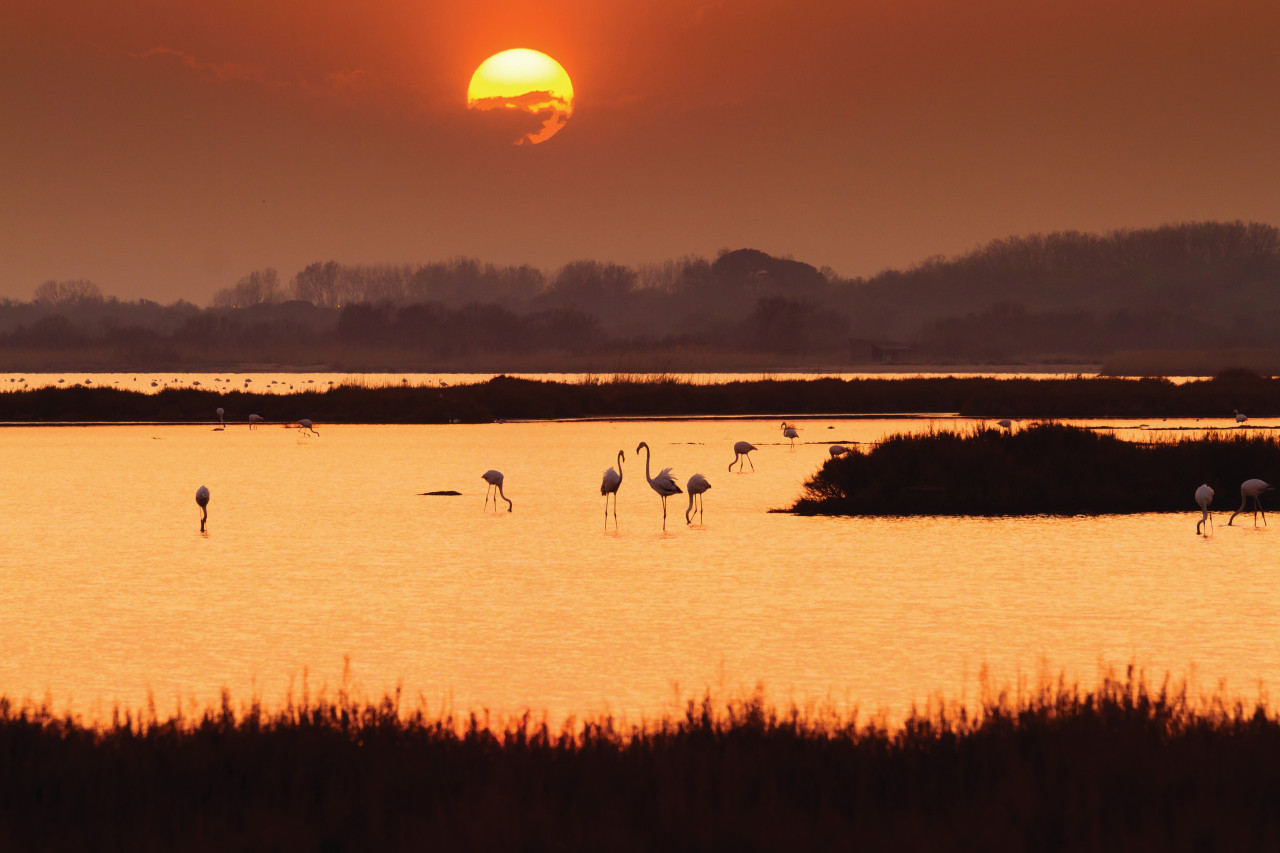 la grande motte coucher de soleil sur un