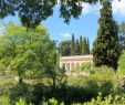 Jardin Des Plantes De Montpellier Inspirant 3 Magical Botanic Gardens for A Zen Travel Experience