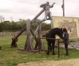 Jardin Des Plantes De Montpellier Inspirant Ch¢teau De Tiffauges   Tiffauges 4 Expériences Et 13 Photos