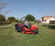 Jardin Des Plantes De Montpellier Inspirant Entretien Jardin Montpellier tonte Pelouse