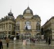 Jardin Des Plantes De Montpellier Inspirant Experience In Montpellier France by Benjamin