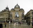 Jardin Des Plantes De Montpellier Inspirant Experience In Montpellier France by Benjamin