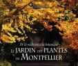 Jardin Des Plantes De Montpellier Inspirant Le Jardin Des Plantes De Montpellier