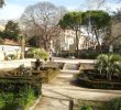 Jardin Des Plantes De Montpellier Inspirant Le Jardin Des Plantes tourisme Montpellier