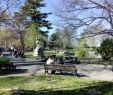 Jardin Des Plantes De Montpellier Inspirant Reportage Montpellier Les Parcs Et Jardins   Ne Pas