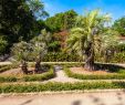 Jardin Des Plantes De Montpellier Inspirant the Jardin Des Plantes De Montpellier is A Public Botanical Garden