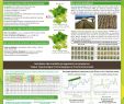 Jardin Des Plantes De Montpellier Luxe Scientific Munication Geves