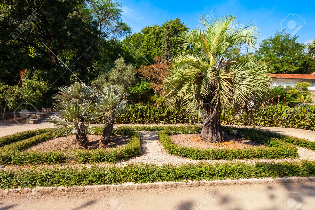 the jardin des plantes de montpellier is a public botanical garden in montpellier city france