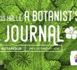 Jardin Des Plantes De Montpellier Nouveau Francis Hallé A Botanist S Journal