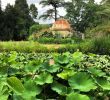 Jardin Des Plantes De Montpellier Unique File Jardin Des Plantes De Montpellier