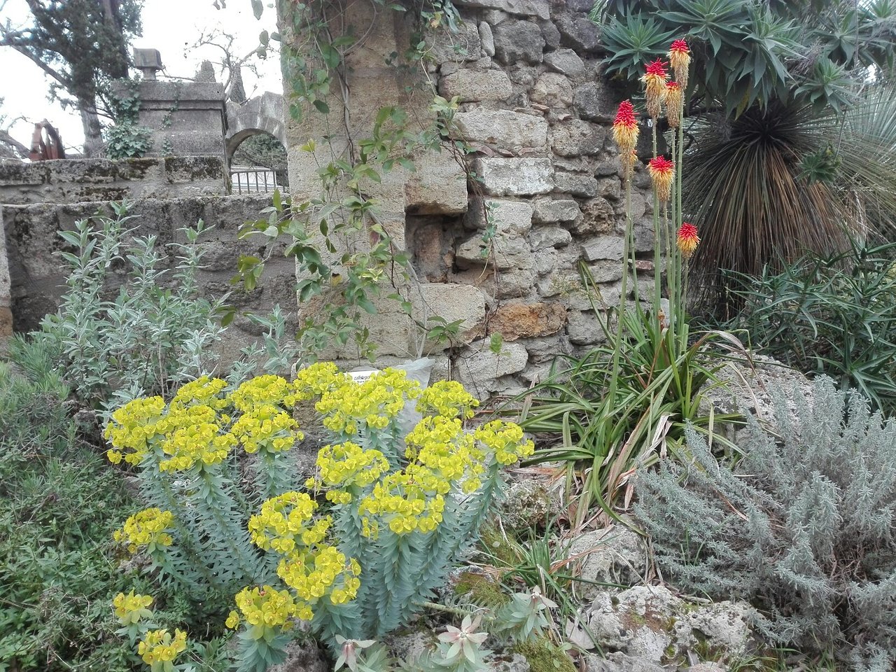 Jardin Des Plantes De Montpellier Unique Jardin Des Plantes Montpellier Updated 2020 All You Need