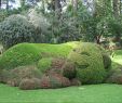 Jardin Des Plantes De Nantes Charmant File Claude Ponti Au Jardin Des Plantes Le Voyage   Nantes