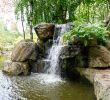 Jardin Des Plantes De Nantes Charmant Japanese Garden On the island Of Versailles – Nantes